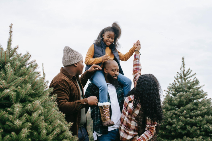 The Magic of Flocked Artificial Christmas Trees: Benefits, Popularity, and Styling Tips