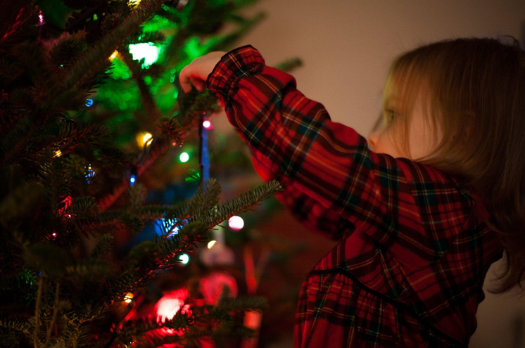 Find Your Perfect First-Class Christmas Tree for Sale at Our Christmas Shop