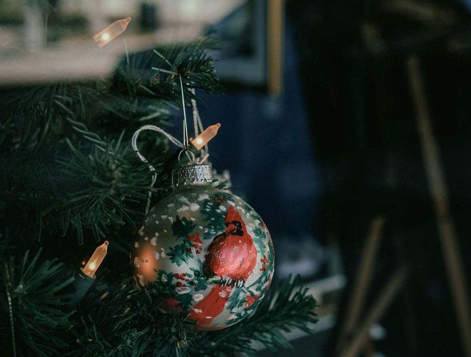 King of Christmas Trees for Your Holiday Memories
